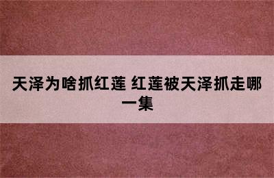 天泽为啥抓红莲 红莲被天泽抓走哪一集